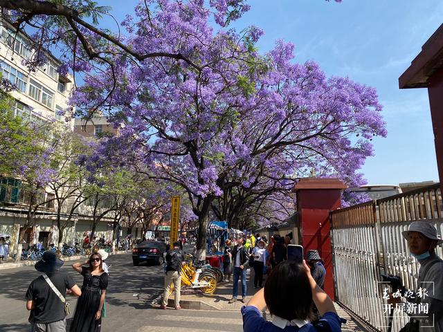 昆明教场中路（ 春城晚报-开屏新闻记者 周柯妤 摄）