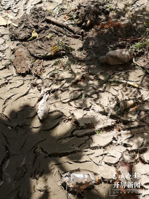 臭味难闻！昆明一小区清理水池淤泥埋在业主楼下 业主直呼：家里都待不下去了，小区环境太差 （春城晚报-开屏新闻记者 马艺宁 摄影报道）
