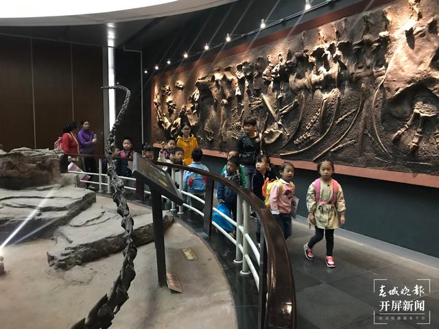 五一期间,昆明动物博物馆正常开放 (来源 春城晚报-开屏新闻 杨质高)