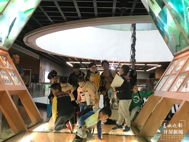 五一期间,昆明动物博物馆正常开放 (来源 春城晚报-开屏新闻 杨质高)