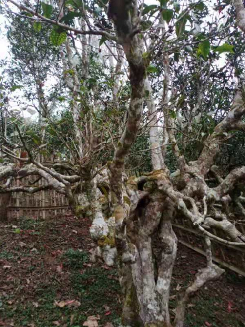 4e8653d45dfe0040cad2be9457b8564