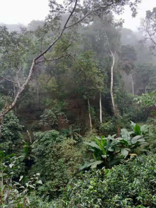 6ca3347e56b184505f2651389e3fc15