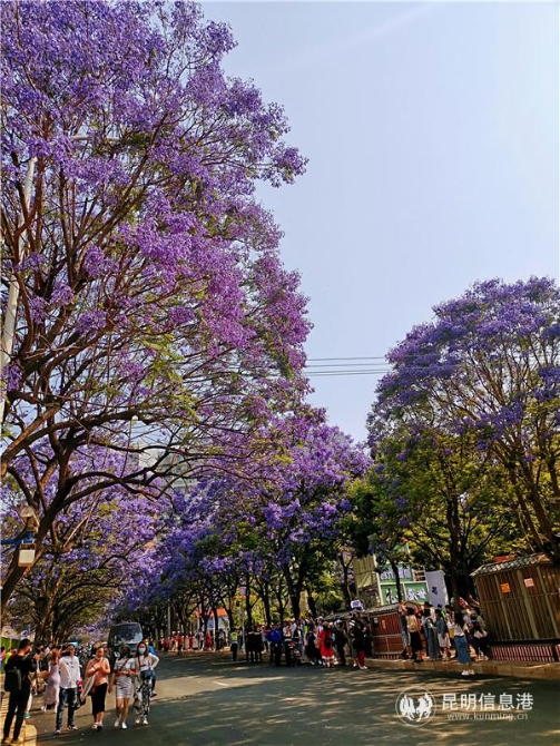 微信图片_20210501145324