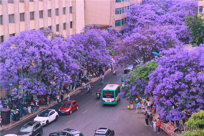 20210502082919MU7NSJ