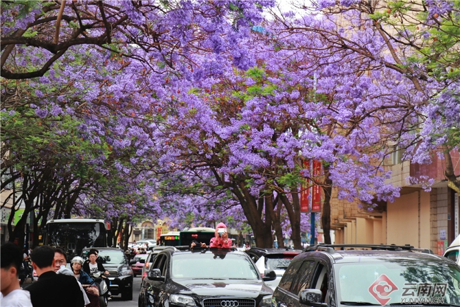 20210502082919N2F1NM