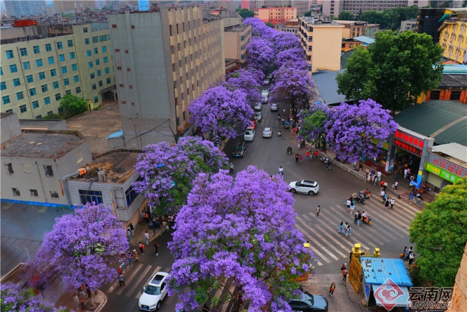 20210502082920LABVAP