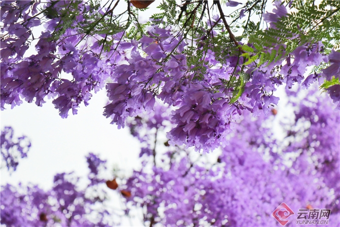 202105020829204ET023