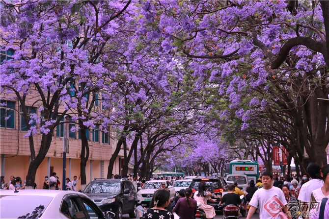 20210502082923AL9PXB