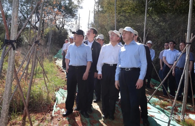 640.webp (1) 640.webp (1)