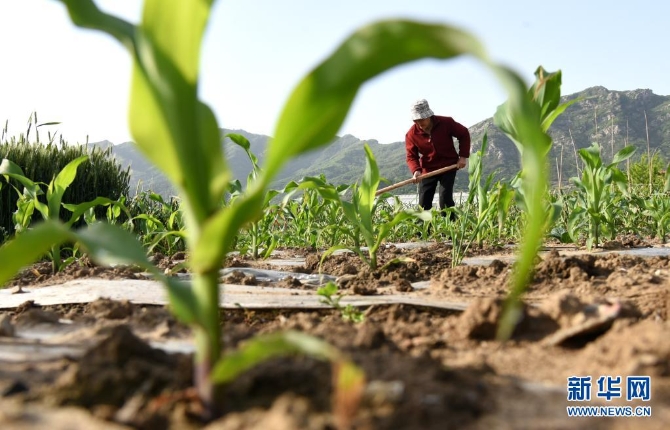 1127410734_16202174417271n