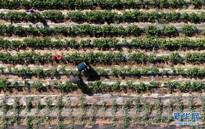 1127410734_16202174417611n