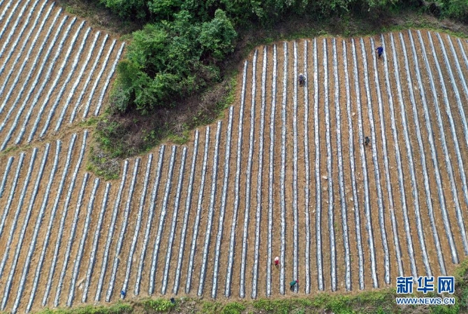 1127410734_16202174418511n