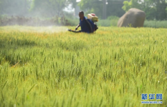 1127410734_16202174419271n