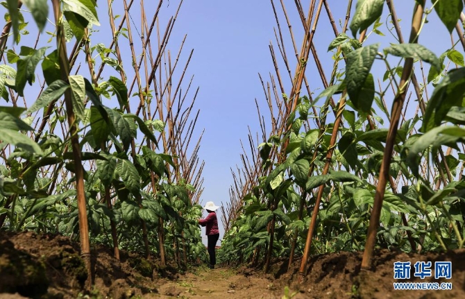 1127410734_16202174419621n