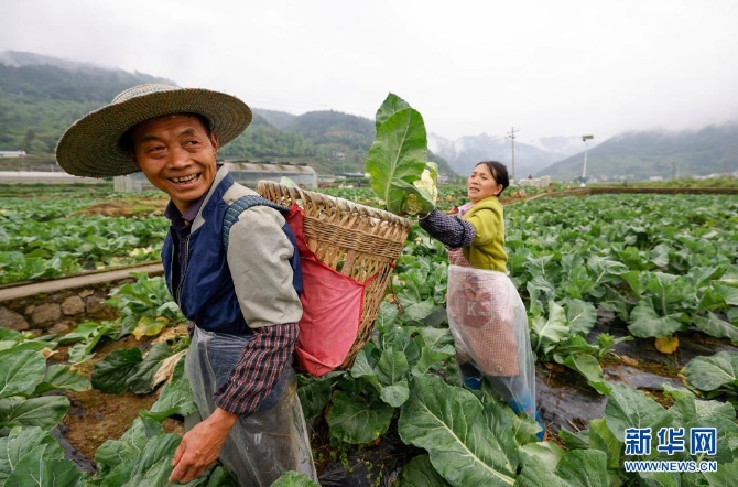 1127410734_16202174420011n