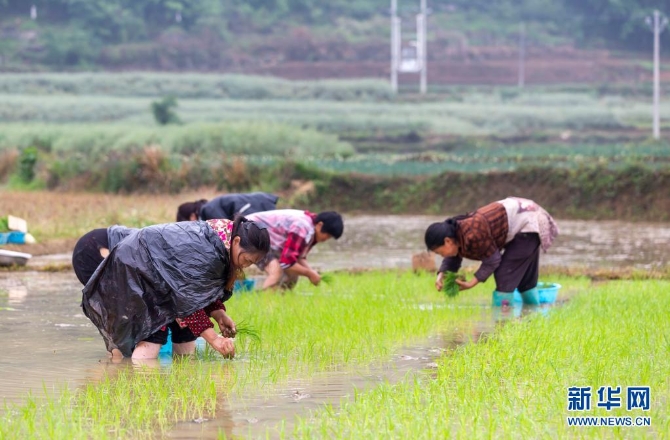 1127410734_16202174420371n