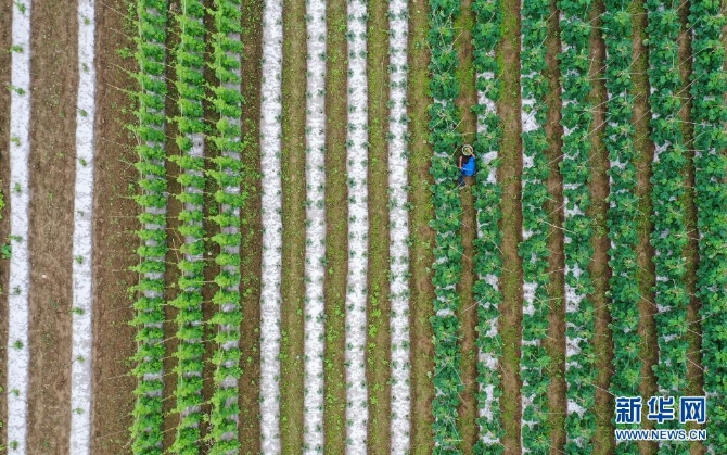 1127410734_16202174420721n