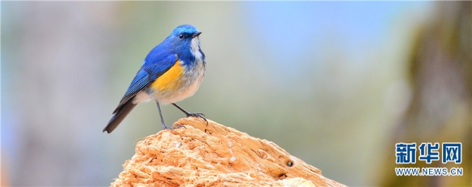 139925922_16202021438061n 139925922_16202021438061n