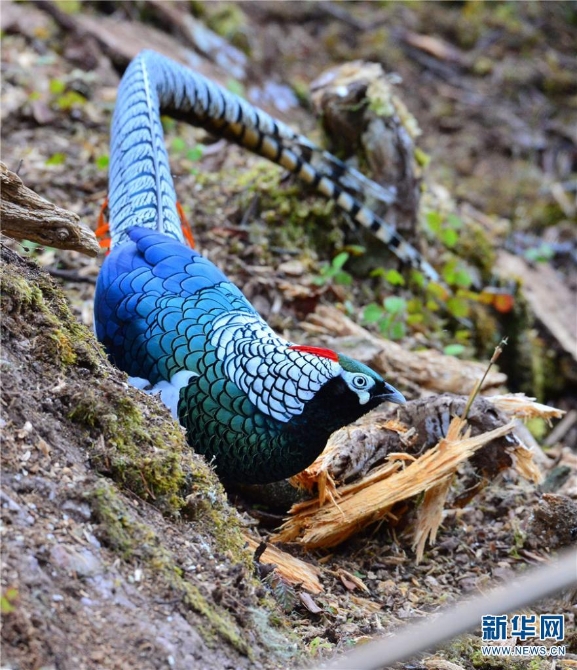 139925922_16202021438521n 139925922_16202021438521n