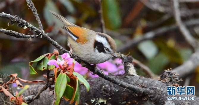 139925922_16202021439311n 139925922_16202021439311n