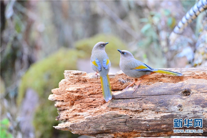 139925922_16202021439921n 139925922_16202021439921n