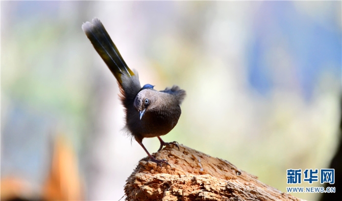 139925922_16202021440741n 139925922_16202021440741n