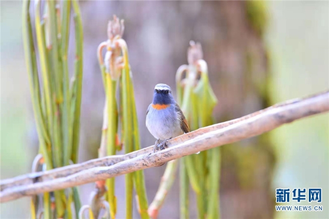 139925922_16202021441301n 139925922_16202021441301n