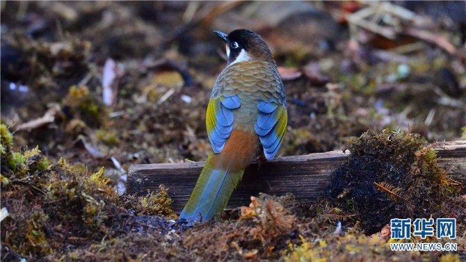 139925922_16202021441941n 139925922_16202021441941n