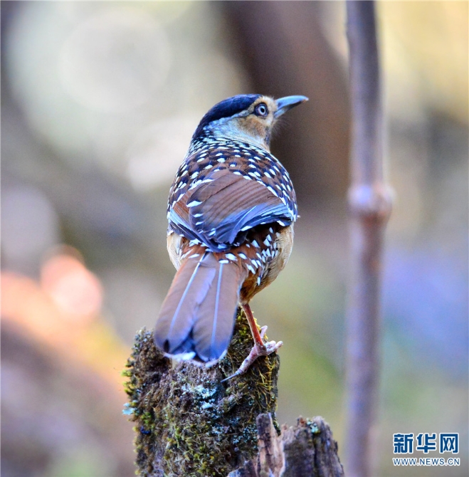 139925922_16202021443201n 139925922_16202021443201n