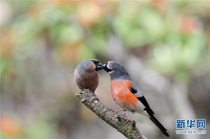 139925922_16202021442601n 139925922_16202021442601n