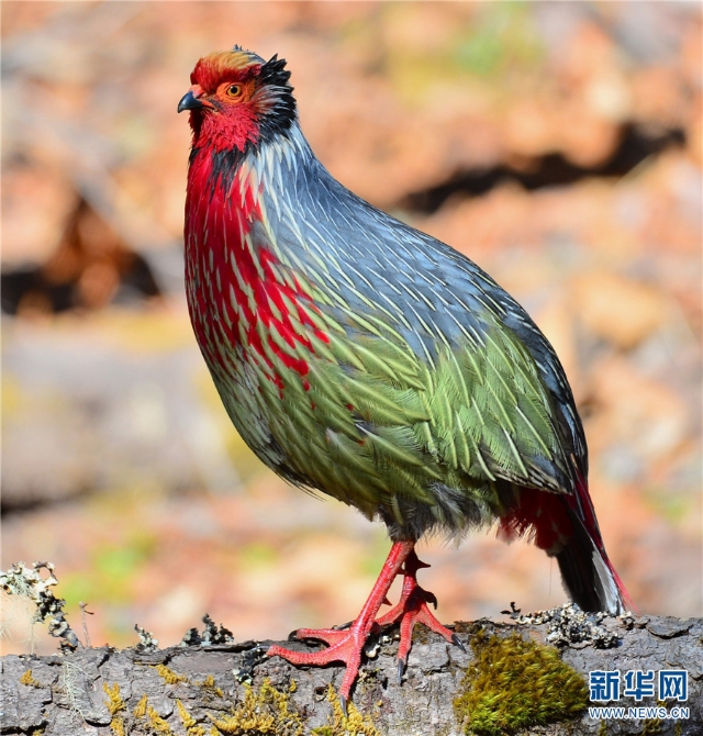 139925922_16202021444151n 139925922_16202021444151n