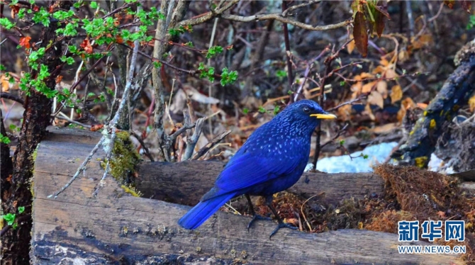 139925922_16202021445281n 139925922_16202021445281n