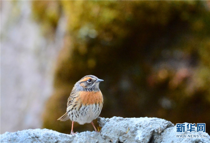 139925922_16202021445961n 139925922_16202021445961n