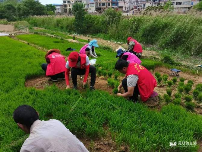 微信图片_20210511180545