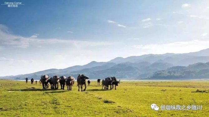 640.webp (10) 640.webp (10)