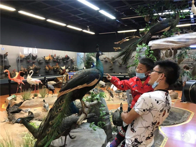 code_ynrba040a8cb-23eb-4490-b219-f093ebd26b0d (1)