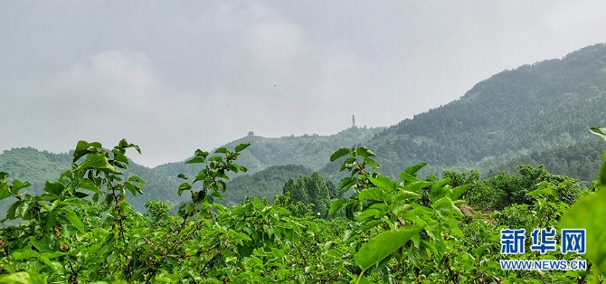 f44d30758a76220d63c009 f44d30758a76220d63c009