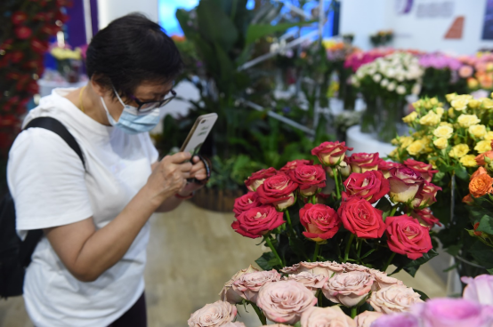 第十届中国花卉博览会开幕，云花惊艳沪上
