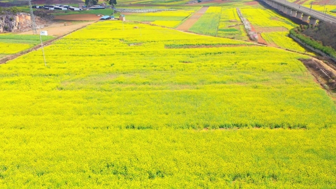 b5a72ecf268e2700bd666b699210b679 b5a72ecf268e2700bd666b699210b679