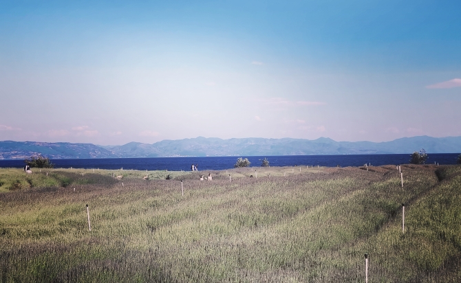 GetAttachment (5) GetAttachment (5)