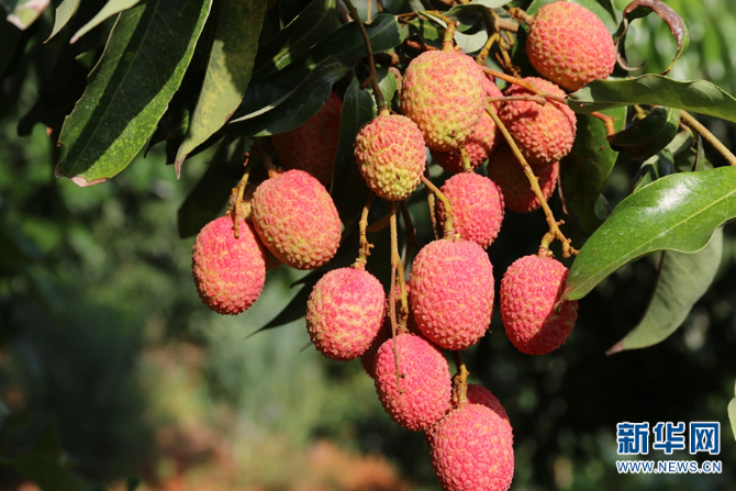 139984040_16225950403361n