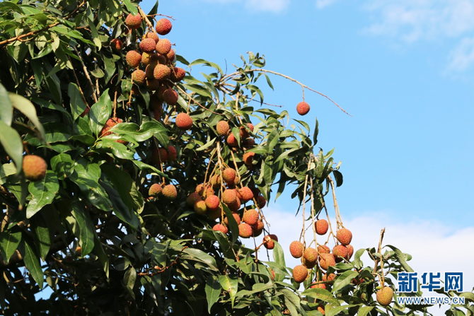 139984040_16225950407271n