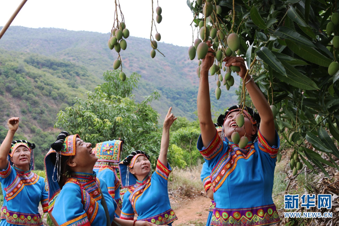 139984040_16225950419061n