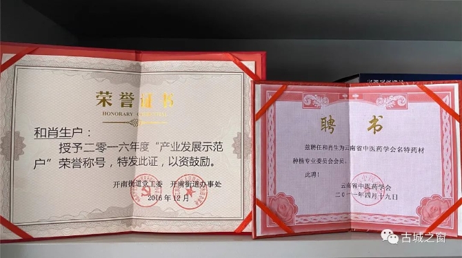 30多年如一日 云南丽江“土”专家的中药情6