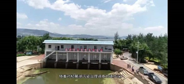 为杞麓湖虚假整改背书的这一群体