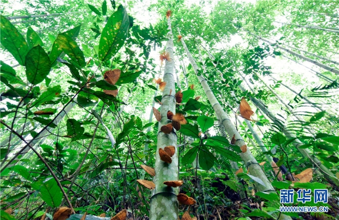 139985133_16226912338491n