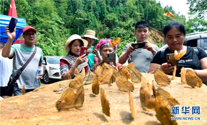 139985133_16226912346991n