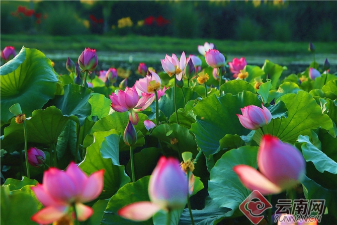 00303902022_4233cb56 00303902022_4233cb56