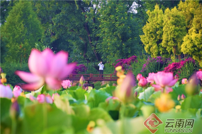 00303902025_a496884b 00303902025_a496884b