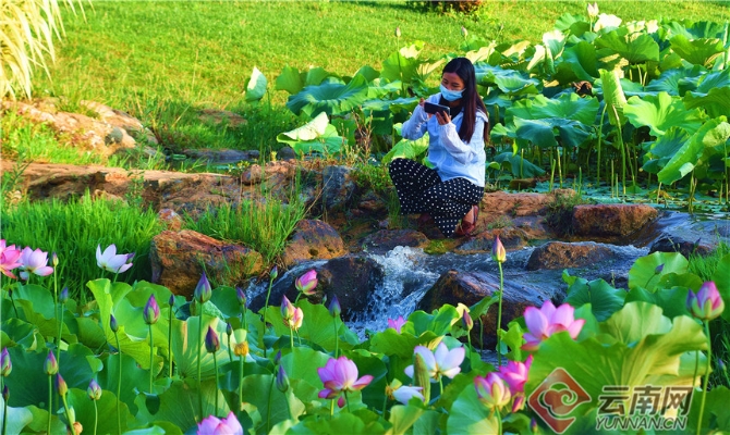 00303902026_5171f961 00303902026_5171f961